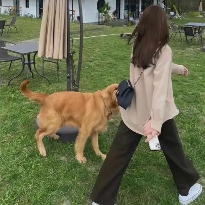 黄昏的甜美生活