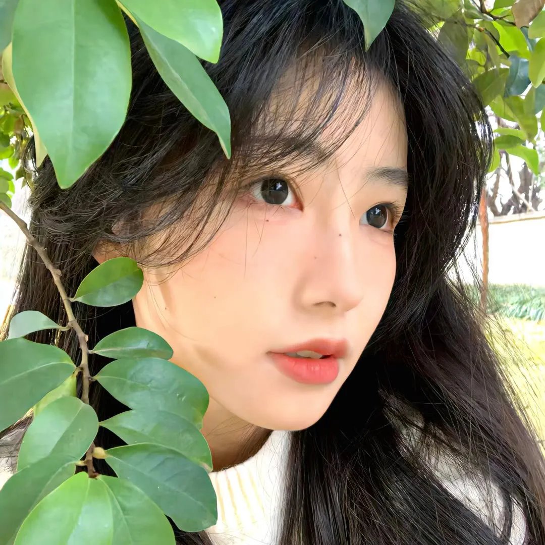 宝藏猎人