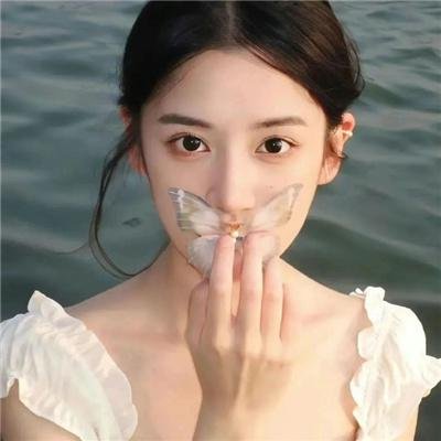 以法之名